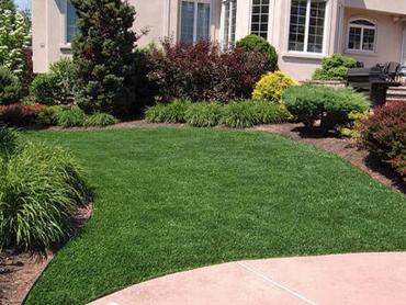 Artificial Grass Photos: Fake Pet Grass Seal Beach California Back and Front Yard